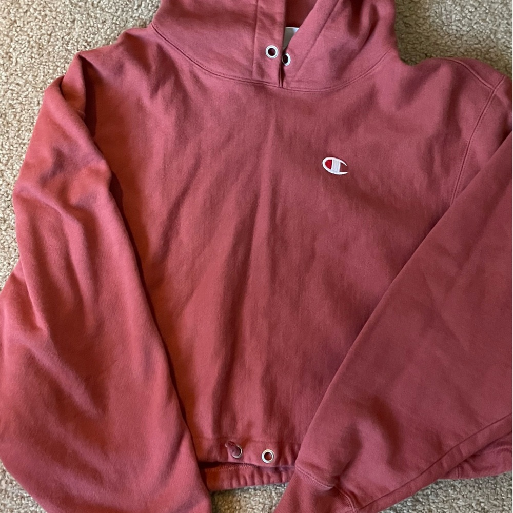 chanpion cropped hoodie
